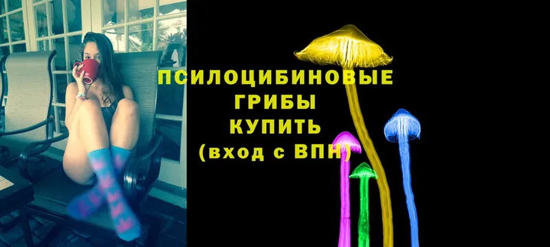 где купить наркоту  Людиново  Псилоцибиновые грибы Cubensis 